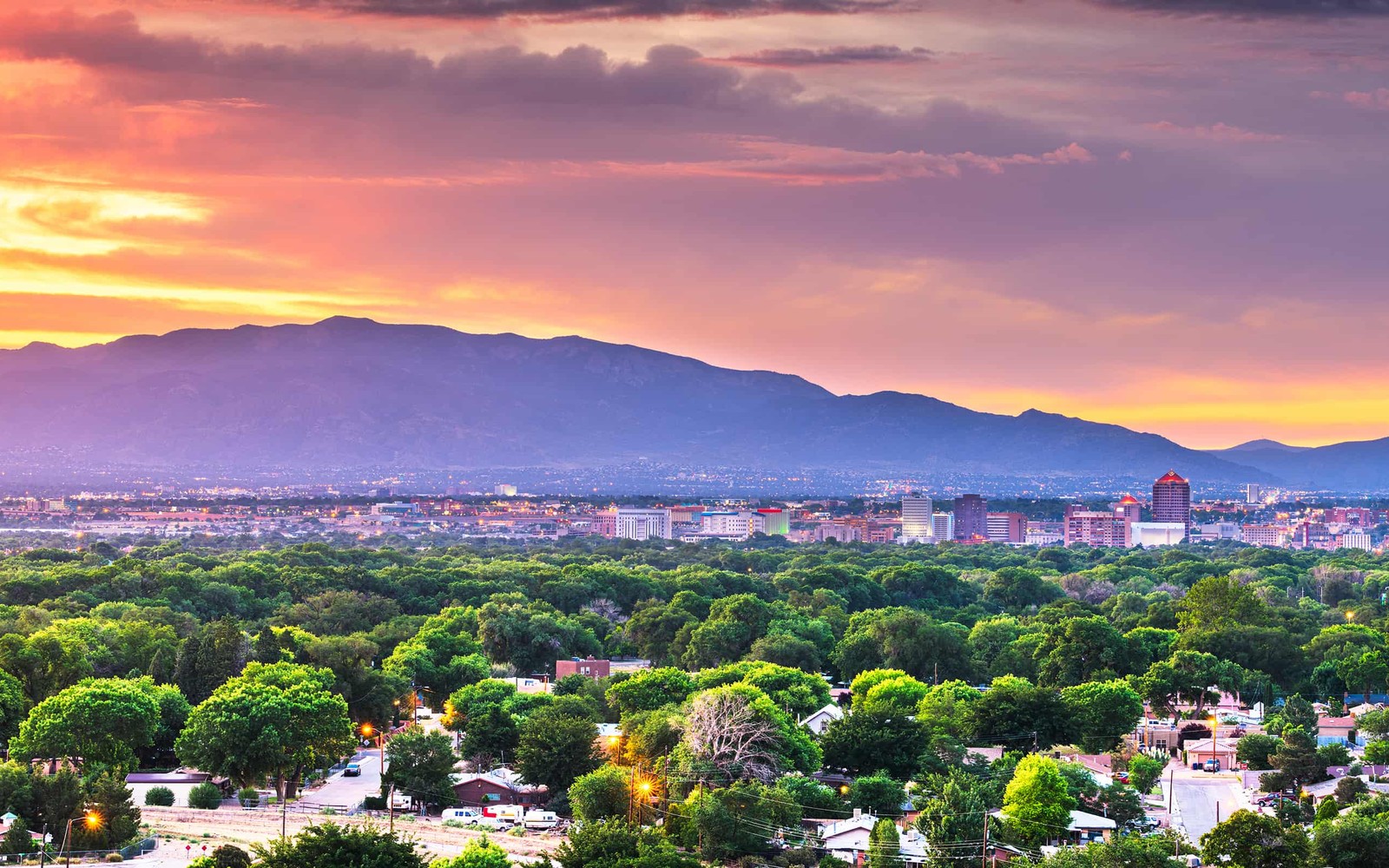 Excavator Financing in Albuquerque, Nm