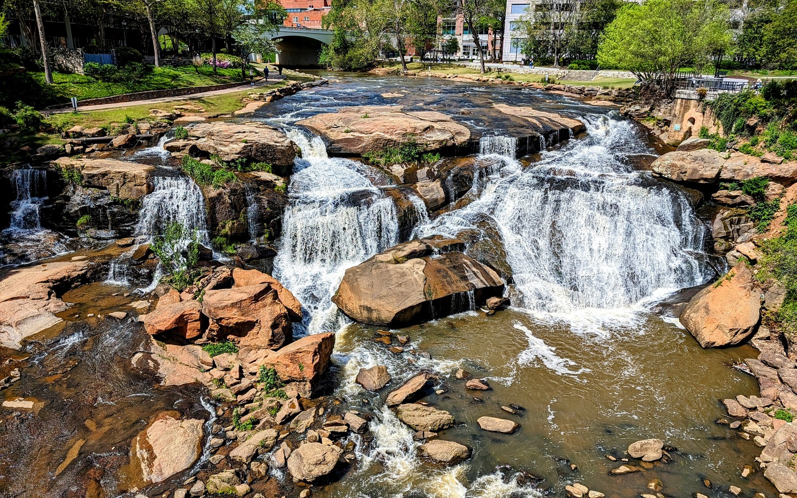 Excavator Financing in Greenville, Sc