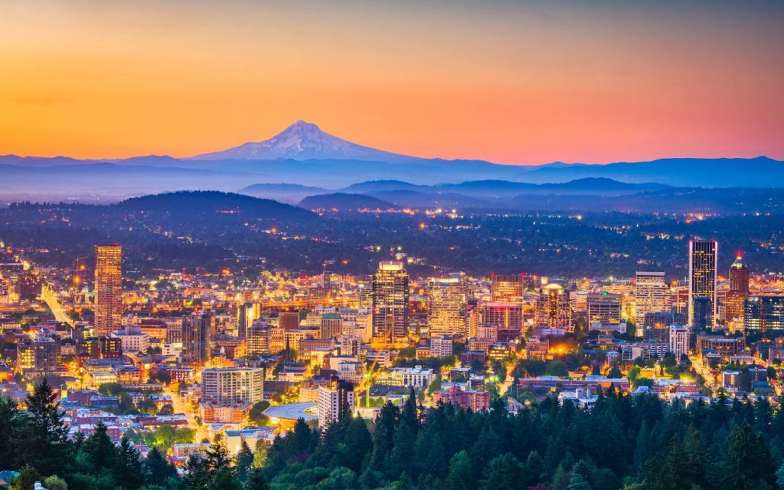 Excavator Financing in Portland, or